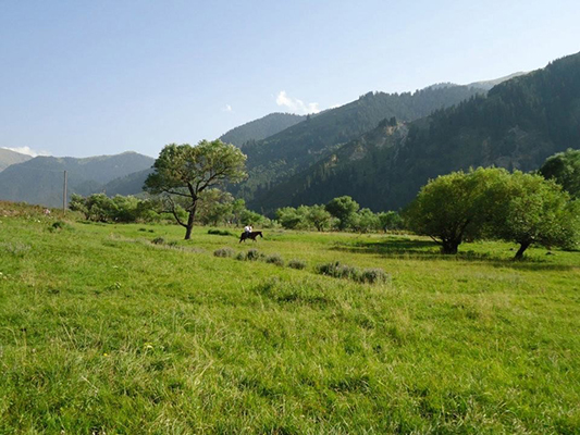 Kazakh rural terrain